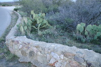 Canon EOS DIGITAL REBEL, 2009:04:06 21:43:59 -- 1/60 sec, f/5.0.  No Flash.3072x2048 Off.