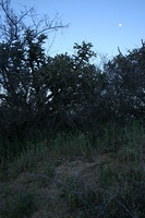 Canon EOS DIGITAL REBEL, 2009:04:06 21:45:32 -- 1/125 sec, f/7.1.  No Flash.3072x2048 Off.