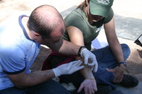 Canon EOS DIGITAL REBEL, 2009:04:07 11:54:52 -- 1/250 sec, f/11.0.  No Flash.3072x2048 Off.