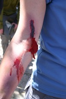 Canon EOS DIGITAL REBEL, 2009:04:10 15:10:45 -- 1/100 sec, f/7.1.  No Flash.3072x2048 Off.