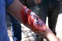 Canon EOS DIGITAL REBEL, 2009:04:10 15:10:47 -- 1/125 sec, f/8.0.  No Flash.3072x2048 Off.