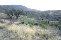 Canon EOS DIGITAL REBEL, 2009:04:10 19:56:41 -- 1/125 sec, f/7.1.  No Flash.3072x2048 Off.