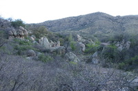 Canon EOS DIGITAL REBEL, 2009:04:10 20:23:07 -- 1/100 sec, f/7.1.  No Flash.3072x2048 Off.