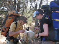 Canon PowerShot A590 IS, 2009:04:13 16:30:31 -- 1/80 sec, f/4.0.  No Flash, Compulsory.3264x2448 Off.