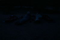 Canon EOS DIGITAL REBEL, 2009:04:13 08:41:04 -- 1/13 sec, f/4.0.  No Flash.3072x2048 Off.