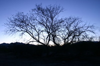 Canon EOS DIGITAL REBEL, 2009:04:13 08:42:12 -- 0.3 sec, f/8.0.  No Flash.3072x2048 Off.