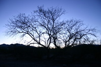 Canon EOS DIGITAL REBEL, 2009:04:13 08:42:23 -- 1/13 sec, f/3.5.  No Flash.3072x2048 Off.