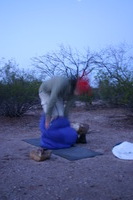 Canon EOS DIGITAL REBEL, 2009:04:13 08:45:20 -- 0.3 sec, f/4.0.  No Flash.3072x2048 Off.