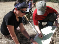 Canon PowerShot A590 IS, 2009:04:14 10:30:06 -- 1/500 sec, f/4.0.  No Flash, Auto.3264x2448 Red-Eye Reduction (Auto).