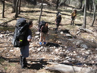 Canon PowerShot A590 IS, 2009:04:14 11:29:00 -- 1/200 sec, f/4.0.  No Flash, Auto.3264x2448 Red-Eye Reduction (Auto).