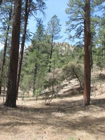 Canon PowerShot A590 IS, 2009:04:14 12:39:59 -- 1/200 sec, f/4.0.  No Flash, Auto.3264x2448 Red-Eye Reduction (Auto).