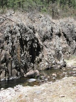 Canon PowerShot A590 IS, 2009:04:14 14:02:51 -- 1/320 sec, f/4.0.  No Flash, Auto.3264x2448 Red-Eye Reduction (Auto).