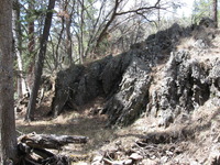 Canon PowerShot A590 IS, 2009:04:14 14:02:54 -- 1/100 sec, f/4.0.  No Flash, Auto.3264x2448 Red-Eye Reduction (Auto).