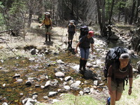 Canon PowerShot A590 IS, 2009:04:14 14:03:34 -- 1/250 sec, f/4.0.  No Flash, Auto.3264x2448 Red-Eye Reduction (Auto).