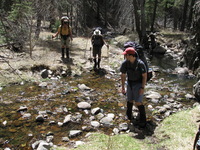 Canon PowerShot A590 IS, 2009:04:14 14:03:38 -- 1/320 sec, f/4.0.  No Flash, Auto.3264x2448 Red-Eye Reduction (Auto).