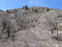 Canon PowerShot A590 IS, 2009:04:14 14:26:26 -- 1/320 sec, f/4.0.  No Flash, Auto.3264x2448 Red-Eye Reduction (Auto).