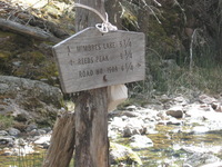 Canon PowerShot A590 IS, 2009:04:14 16:01:38 -- 1/100 sec, f/5.5.  No Flash, Auto.3264x2448 Red-Eye Reduction (Auto).