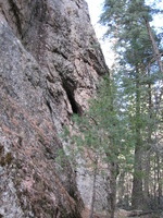 Canon PowerShot A590 IS, 2009:04:14 16:11:36 -- 1/60 sec, f/2.6.  No Flash, Auto.3264x2448 Red-Eye Reduction (Auto).