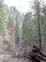 Canon PowerShot A590 IS, 2009:04:14 16:18:26 -- 1/60 sec, f/3.2.  No Flash, Auto.3264x2448 Red-Eye Reduction (Auto).