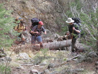 Canon PowerShot A590 IS, 2009:04:14 16:18:46 -- 1/80 sec, f/5.5.  No Flash, Auto.3264x2448 Red-Eye Reduction (Auto).