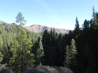 Canon PowerShot A590 IS, 2009:04:14 17:27:36 -- 1/200 sec, f/4.0.  No Flash, Auto.3264x2448 Red-Eye Reduction (Auto).