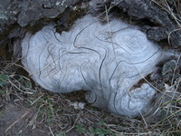 Canon PowerShot A590 IS, 2009:04:14 17:57:57 -- 1/60 sec, f/2.6.  No Flash, Auto.3264x2448 Red-Eye Reduction (Auto).