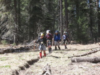 Canon PowerShot A590 IS, 2009:04:15 11:28:49 -- 1/200 sec, f/4.0.  No Flash, Auto.3264x2448 Red-Eye Reduction (Auto).