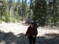 Canon PowerShot A590 IS, 2009:04:15 11:59:06 -- 1/200 sec, f/4.0.  No Flash, Auto.3264x2448 Red-Eye Reduction (Auto).