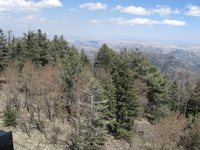 Canon PowerShot A590 IS, 2009:04:15 14:21:36 -- 1/800 sec, f/4.0.  No Flash, Auto.3264x2448 Red-Eye Reduction (Auto).