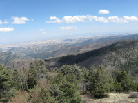 Canon PowerShot A590 IS, 2009:04:15 14:21:42 -- 1/640 sec, f/4.0.  No Flash, Auto.3264x2448 Red-Eye Reduction (Auto).