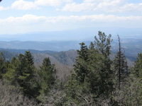 Canon PowerShot A590 IS, 2009:04:15 14:21:54 -- 1/640 sec, f/4.0.  No Flash, Auto.3264x2448 Red-Eye Reduction (Auto).