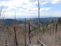 Canon PowerShot A590 IS, 2009:04:15 14:56:19 -- 1/500 sec, f/4.0.  No Flash, Auto.3264x2448 Red-Eye Reduction (Auto).