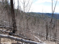 Canon PowerShot A590 IS, 2009:04:15 14:56:28 -- 1/400 sec, f/4.0.  No Flash, Auto.3264x2448 Red-Eye Reduction (Auto).