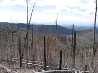 Canon PowerShot A590 IS, 2009:04:15 14:56:30 -- 1/400 sec, f/4.0.  No Flash, Auto.3264x2448 Red-Eye Reduction (Auto).