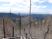 Canon PowerShot A590 IS, 2009:04:15 14:56:33 -- 1/500 sec, f/4.0.  No Flash, Auto.3264x2448 Red-Eye Reduction (Auto).