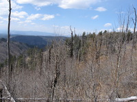 Canon PowerShot A590 IS, 2009:04:15 14:56:35 -- 1/640 sec, f/4.0.  No Flash, Auto.3264x2448 Red-Eye Reduction (Auto).