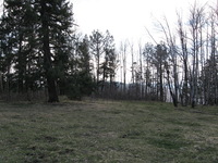 Canon PowerShot A590 IS, 2009:04:15 15:04:11 -- 1/250 sec, f/4.0.  No Flash, Auto.3264x2448 Red-Eye Reduction (Auto).