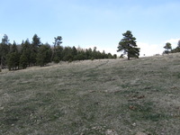 Canon PowerShot A590 IS, 2009:04:15 15:04:18 -- 1/320 sec, f/4.0.  No Flash, Auto.3264x2448 Red-Eye Reduction (Auto).