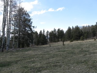 Canon PowerShot A590 IS, 2009:04:15 15:04:23 -- 1/320 sec, f/4.0.  No Flash, Auto.3264x2448 Red-Eye Reduction (Auto).