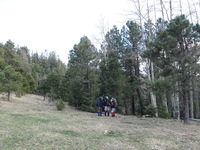 Canon PowerShot A590 IS, 2009:04:15 15:04:28 -- 1/100 sec, f/4.0.  No Flash, Auto.3264x2448 Red-Eye Reduction (Auto).