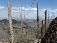 Canon PowerShot A590 IS, 2009:04:15 15:25:32 -- 1/1000 sec, f/4.0.  No Flash, Auto.3264x2448 Red-Eye Reduction (Auto).