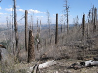 Canon PowerShot A590 IS, 2009:04:15 15:25:42 -- 1/640 sec, f/4.0.  No Flash, Auto.3264x2448 Red-Eye Reduction (Auto).