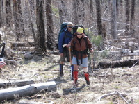 Canon PowerShot A590 IS, 2009:04:15 15:26:02 -- 1/200 sec, f/5.0.  No Flash, Auto.3264x2448 Red-Eye Reduction (Auto).