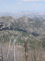 Canon PowerShot A590 IS, 2009:04:15 15:26:20 -- 1/800 sec, f/4.0.  No Flash, Auto.3264x2448 Red-Eye Reduction (Auto).