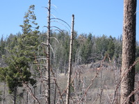 Canon PowerShot A590 IS, 2009:04:15 15:37:51 -- 1/250 sec, f/5.5.  No Flash, Auto.3264x2448 Red-Eye Reduction (Auto).