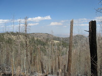 Canon PowerShot A590 IS, 2009:04:15 15:50:53 -- 1/1000 sec, f/4.0.  No Flash, Auto.3264x2448 Red-Eye Reduction (Auto).