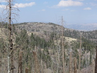 Canon PowerShot A590 IS, 2009:04:15 15:50:59 -- 1/800 sec, f/4.0.  No Flash, Auto.3264x2448 Red-Eye Reduction (Auto).