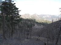 Canon PowerShot A590 IS, 2009:04:15 15:56:01 -- 1/250 sec, f/4.0.  No Flash, Auto.3264x2448 Red-Eye Reduction (Auto).