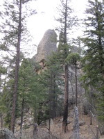 Canon PowerShot A590 IS, 2009:04:15 18:20:54 -- 1/100 sec, f/3.5.  No Flash, Auto.3264x2448 Red-Eye Reduction (Auto).