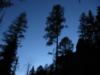 Canon PowerShot A590 IS, 2009:04:15 20:15:35 -- 0.8 sec, f/2.6.  No Flash, Compulsory.3264x2448 Off.